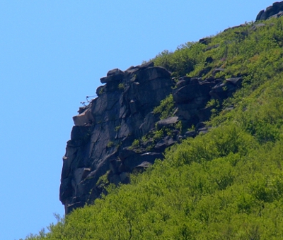 [A rocky hillside at the top of a green mountainside.]